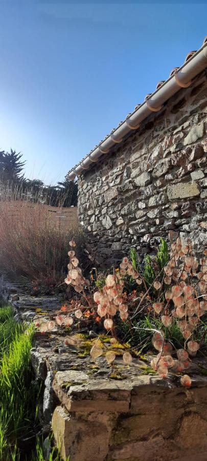 Maison De Village 4 A 6 Pers A 5 Min De La Mer Brétignolles-sur-Mer Eksteriør billede